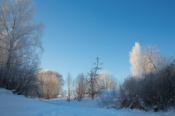 Beautiful winter landscape with snow covered trees. Trees covered with ice in winter.