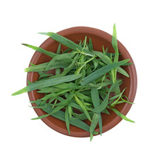 Top view of a small red clay bowl filled with organic tarragon leaves isolated on a white...