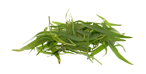 A small portion of organic tarragon leaves isolated on a white background.