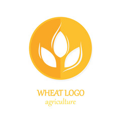 Agriculture Wheat Logo Icon Design Template Vector Illustration