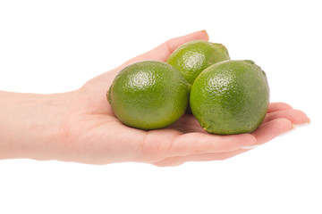 Limes in hand