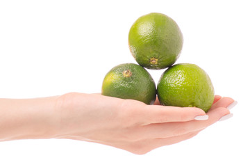 Limes in hand
