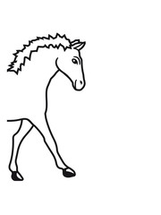 halb vorne hälfte kopf laufen gehen pferd pony reiten schnell pferdchen klein spaß schnell comic cartoon reiter schön süß niedlich