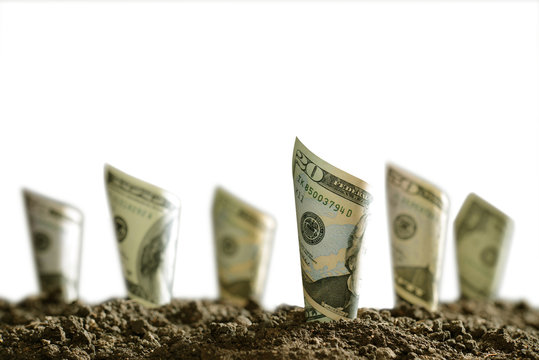 Image of rolled bank notes on soil for business, saving, growth, economic concept isolated on white background