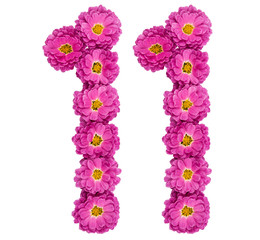 Arabic numeral 11, eleven, from flowers of chrysanthemum, isolated on white background