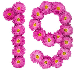 Arabic numeral 19, nineteen, from flowers of chrysanthemum, isolated on white background