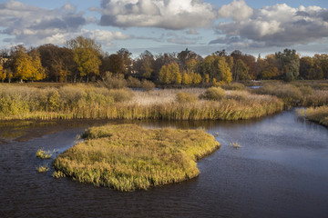 A small wetland with reedbeds along shores in Kristianstad, Sweden - obrazy, fototapety, plakaty