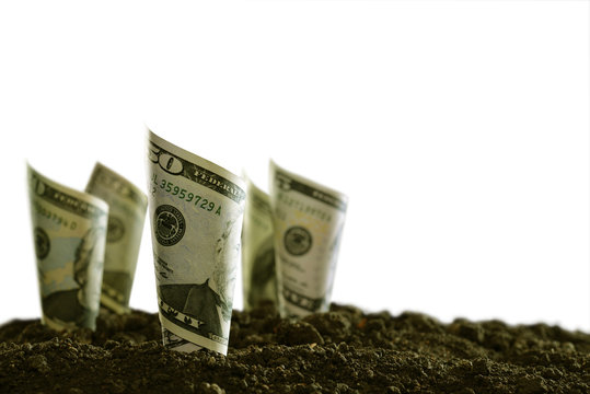 Image of rolled bank notes on soil for business, saving, growth, economic concept isolated on white background