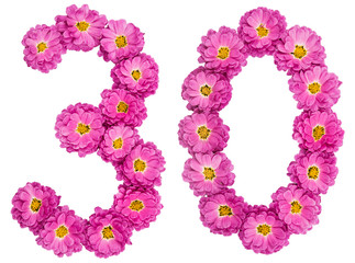 Arabic numeral 30, thirty, from flowers of chrysanthemum, isolated on white background