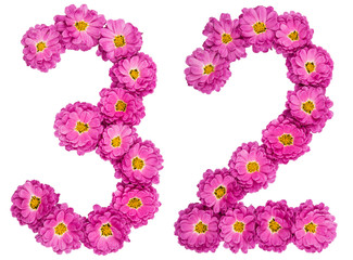 Arabic numeral 32, thirty two, from flowers of chrysanthemum, isolated on white background