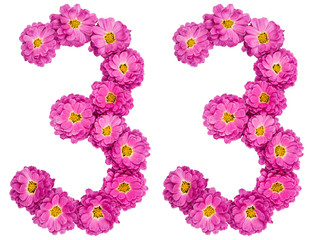 Arabic numeral 33, thirty three, from flowers of chrysanthemum, isolated on white background