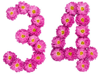 Arabic numeral 34, thirty four, from flowers of chrysanthemum, isolated on white background