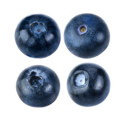 Blueberry collection isolated on white background