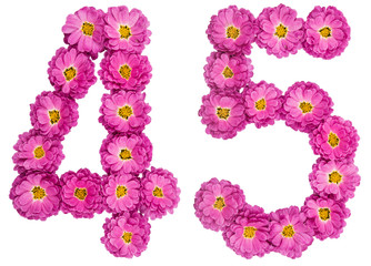 Arabic numeral 45, forty five, from flowers of chrysanthemum, isolated on white background