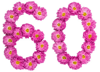 Arabic numeral 60, sixty, from flowers of chrysanthemum, isolated on white background