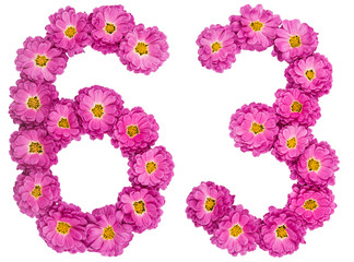 Arabic numeral 63, sixty three, from flowers of chrysanthemum, isolated on white background