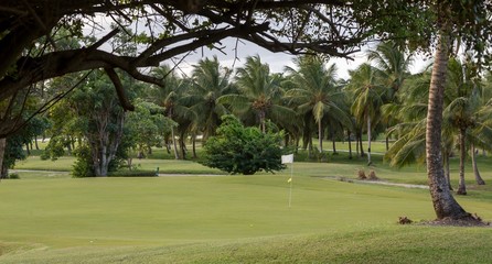 Obraz premium Golf Course Green amongstTrees