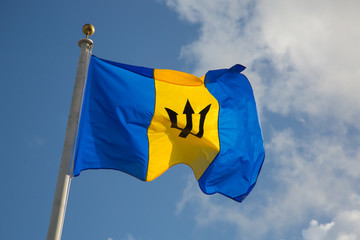 Barbados Flag