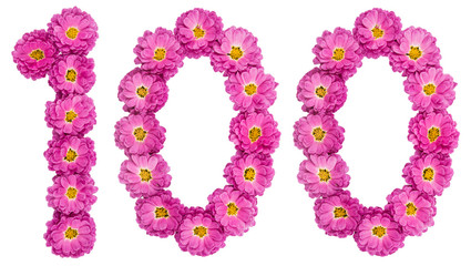 Arabic numeral 100, one hundred, from flowers of chrysanthemum, isolated on white background