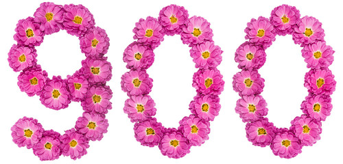 Arabic numeral 900, nine hundred, from flowers of chrysanthemum, isolated on white background
