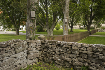 A view over a park with a stone wall and bat nest boxes on trees - obrazy, fototapety, plakaty