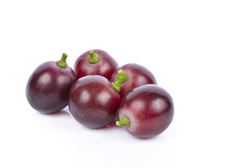 Red grapes white background