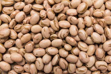 Pinto Bean legume. Closeup of grains, background use.