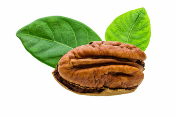Pecan and green leaves isolated on white.