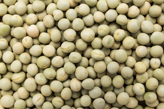 Pea. Closeup of grains, background use.