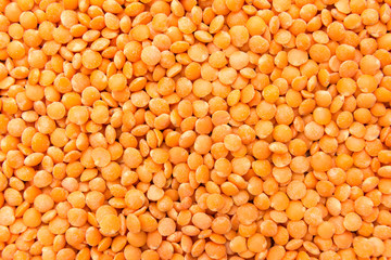 Turkish Red Lentil legume. Closeup of grains, background use.
