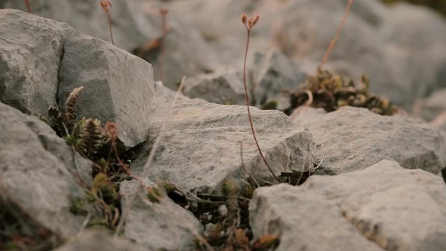 The stones fall and roll down close up