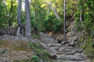 京都　愛宕山参道