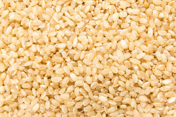 Whole Short Grain Rice Seed. Closeup of grains, background use.