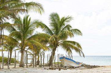 Fototapeta na wymiar Beach with fishing boat and coconuts by the ocean with palm trees and rustic fence