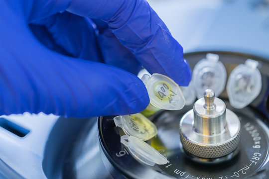 Scientist Putting Test Tube Into Centrifuge	