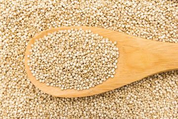 Golden Quinoa seed. Grains in wooden spoon. Close up.