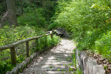 Nature trail walking down the stairs