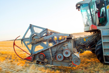 Combine machine is harvesting oats on farm field. combine harvester working on a wheat field....