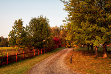 Country Lane