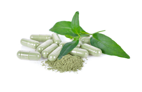 fresh kariyat leaves, ground and capsule herb on white background