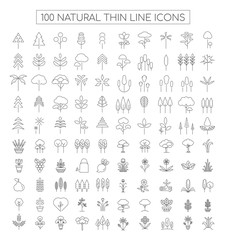 Obraz premium Natural Thin Line Icons