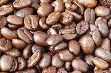 Many Coffee roasted Beans and powder