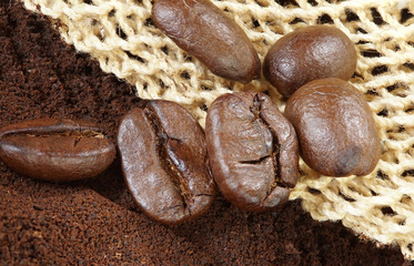 Many Coffee roasted Beans and powder bag