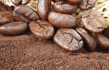 Many Coffee roasted Beans and powder bag