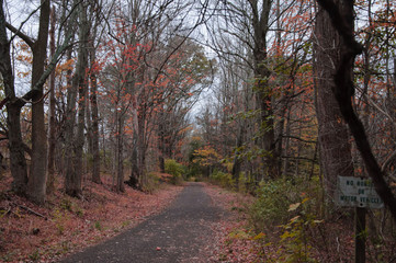 Obraz premium An autumnal stroll down a footpath at Peace Valley Park Pa