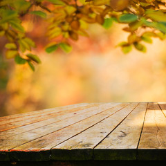 Autumn background table