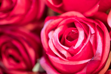 Fabric flowers, Red color background