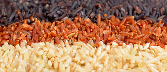 Rice collection isolated on white background, Jasmine, Brown, Mixed and Riceberry Rice texture for background.