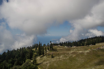 вид на море с горы Мамзышха