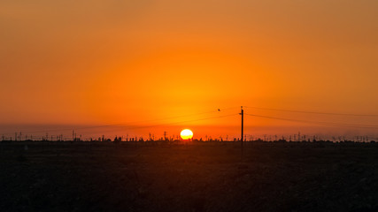Colorful sunset in field